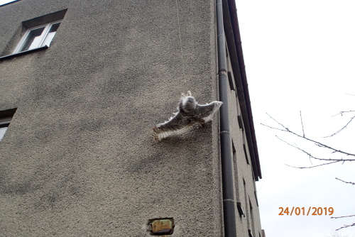 ViewImage-(17).jpg ViewImage-(17).jpg