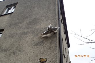 ViewImage-(17).jpg