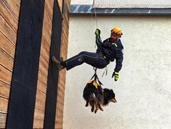 Kynologové trénovali se psy na cvičné věži na šumperské stanici