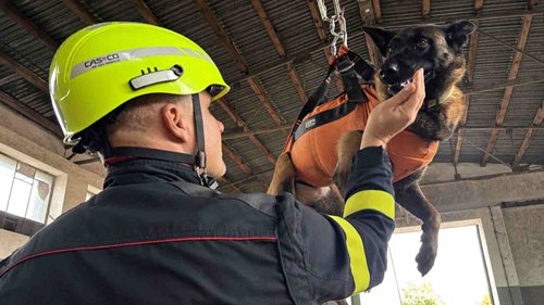 Pod troskami rozhodují zkušenosti. Čeští hasiči učili litevské kynology zachraňovat životy