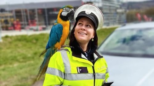 Silniční kontrola překvapila nečekaným spolujezdcem