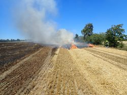 Jeden člověk byl zraněn při požáru šesti hektarů strniště v Luhách na Bruntálsku