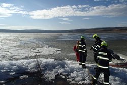 Dva dny po sobě hasiči zachraňovali psy z Medardu