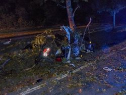 Na Břeclavsku zemřel řidič po nárazu do stromu