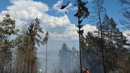 Požár sedmi hektarů lesa zaměstnal 150 hasičů. Ze vzduchu pomáhal Black Hawk