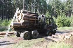  Požár lesního stroje způsobil škodu za dva miliony korun
