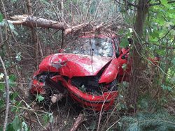 Mladá řidička ukončila jízdu až v lesíku mimo vozovku