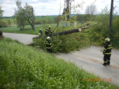 Nemusí být větrná kalamita, aby popadané stromy komplikovaly dopravu
