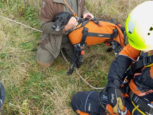 Pád do studny a boj o čas. Hasiči vytáhli vystrašeného psa živého a v pořádku