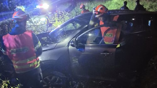 Vozidlo skončilo mimo silnici po nárazu do stromu