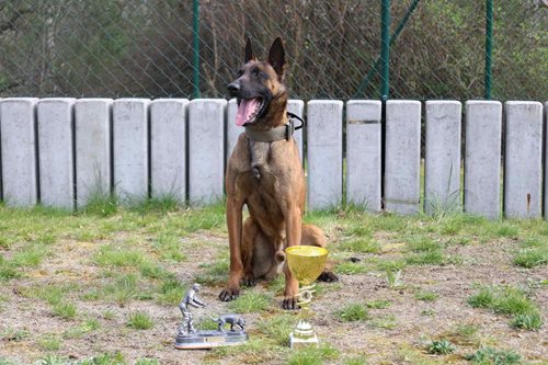 Náročná soutěž prověřila špičku 