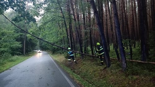 Bouřky zaměstnaly jihočeské hasiče. Odstraňovali popadané stromy z komunikací