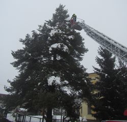 Ulomené větve nad školním hřištěm. 