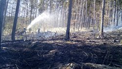 Požár lesa u Konětop