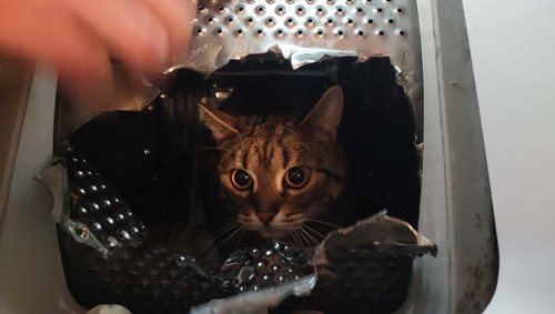 Neobvyklý zásah skončil šťastným vysvobozením