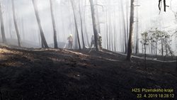Rozsáhlý lesní požár u Chotíkova