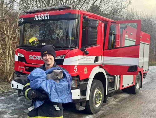 Kočka uvázla v motoru auta, hasiči zasáhli