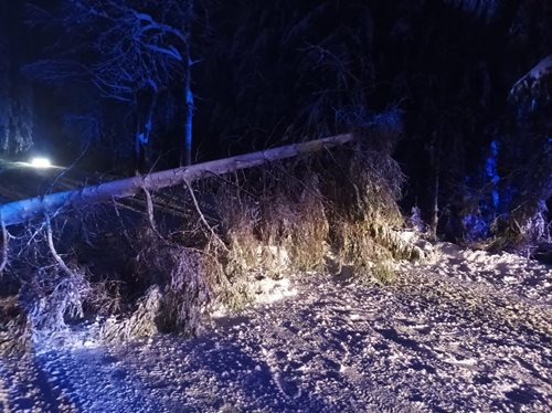 Za noc evidujeme desítky výjezdů na popadané stromy