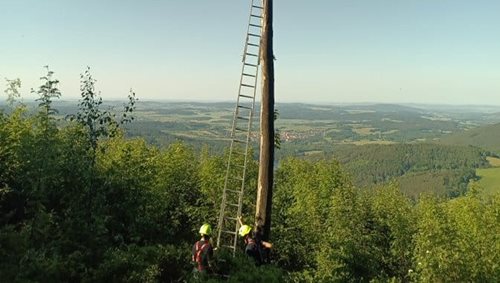 Let skončil vysoko v korunách stromů. Hasiči zachraňovali paraglidistu v nepřístupném terénu
