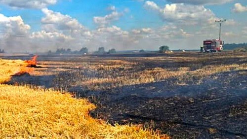 Požár lisu se rozšířil na pole. Hasiči uchránili rodinné domy před plameny