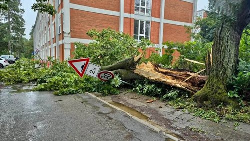 Bouřky lámaly stromy a komplikovaly dopravu. Hasiči vyjížděli k desítkám zásahů