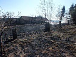 V Královéhradeckém  kraji řešili hasiči požáry travních a lesních porostů 