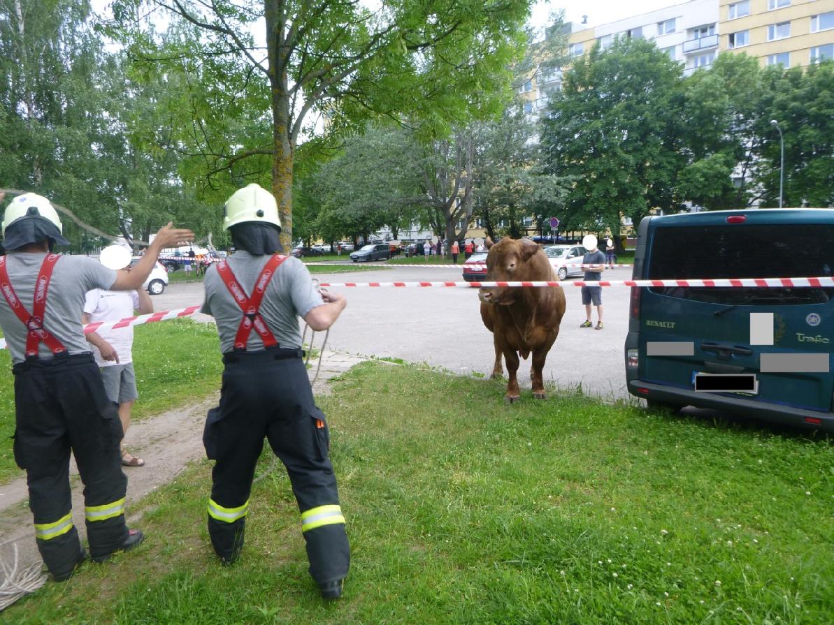trutnov4-(1).jpg trutnov4-(1).jpg