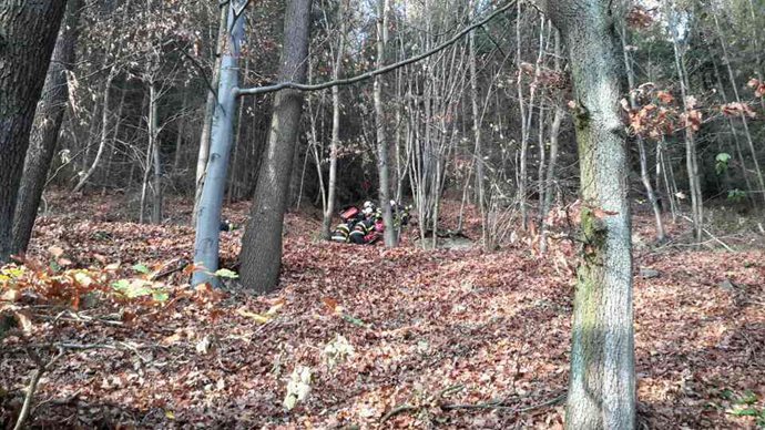 ViewImage-(2).jpg