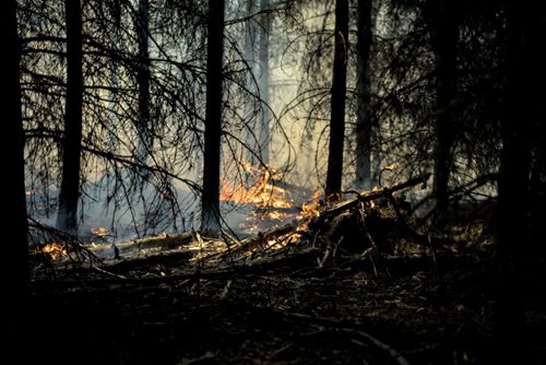 Hejtmanka vyhlásila nebezpečí požárů, oheň v přírodě je teď zakázán.