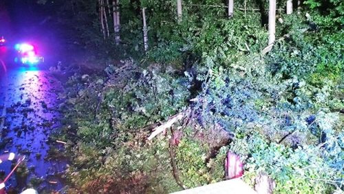 Bouřky zaměstnaly hasiče. Voda zaplavovala domy a stromy blokovaly silnice