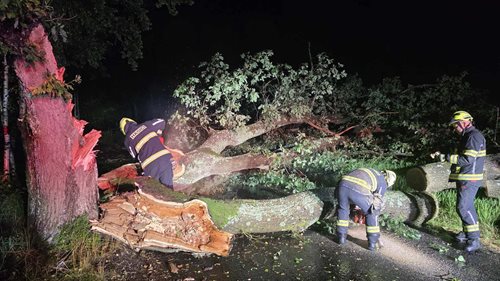 Rušná noc v Libereckém kraji. Hasiči vyjížděli k téměř 80 popadaným stromům