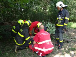 Senior při neopatrném ořezávání vysokého ovocného stromu spadl z žebříku  z pětimetrové výšky .Ostravští hasiči jej v bezvědomí složitě transportovali k sanitce 