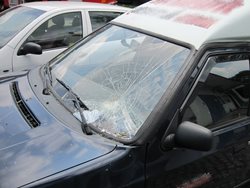 Spadlá větev stromu poškodila osobní automobil.
