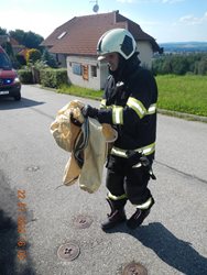 Odchytnutá užovka v Hlincově Hoře