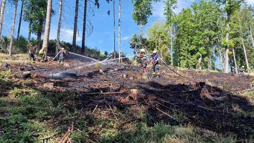 Stačí jediná jiskra. Hasiči během jediného dne zasahovali u pěti požárů v přírodě