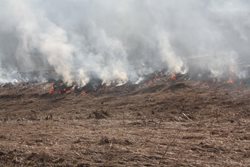 Polední požár pole a lesa u Krozluk Zasahovalo osm hasičských jednotek. 