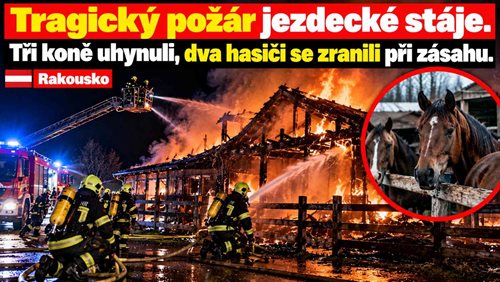 Tragický požár jezdecké stáje. Tři koně uhynuli, dva hasiči se zranili při zásahu