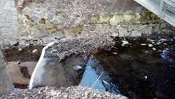 Neznámá látka unikla na hladinu potoka v pražské Uhříněvsi
