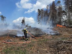 Vysočinské hasiče zaměstnaly požáry v přírodním prostředí