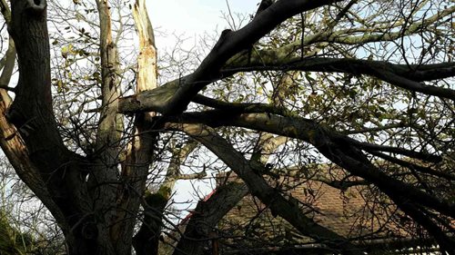 V souvislosti se silným větrem Pardubický kraj eviduje 566 událostí