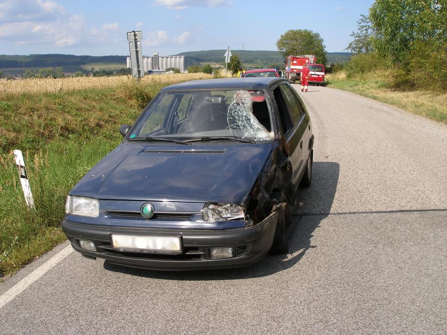ostromer1-(1).jpg ostromer1-(1).jpg