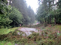Bouřka způsobila popadaní většího množství stromů, které uvěznily řidiče na silnici na Zlínsku