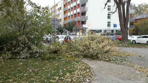 SIlný vítr zaměstnává hasiče v celém Olomouckém kraji 