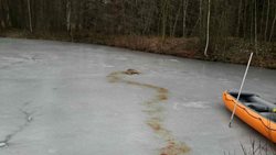 Zraněnou srnku na tenkém ledě rybníka zachránili hasiči na Pardubicku
