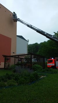 ViewImage-aspx.jpg