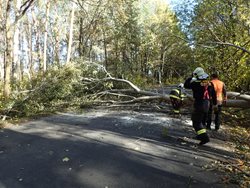 Vítr zaměstnal hasiče hlavně na Kutnohorsku a Benešovsku