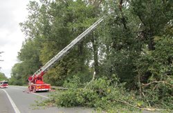 S likvidací vyvráceného stromu pomohla výšková technika hasičů