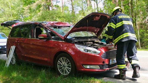 Strom se zřítil přímo na projíždějící auto. Posádka měla obrovské štěstí