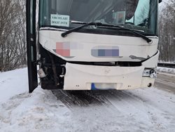Srážka autobusů s koňmi