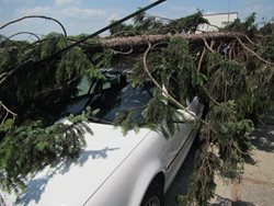 Požáry v přírodním prostředí, spolu s popadanými stromy, zaměstnaly včera odpoledne hasiče v celém Zlínském kraji.